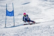 pg soft_3-1！乒坛再爆冷门，国乒小将力克日本世界冠军，樊振东连赢四场