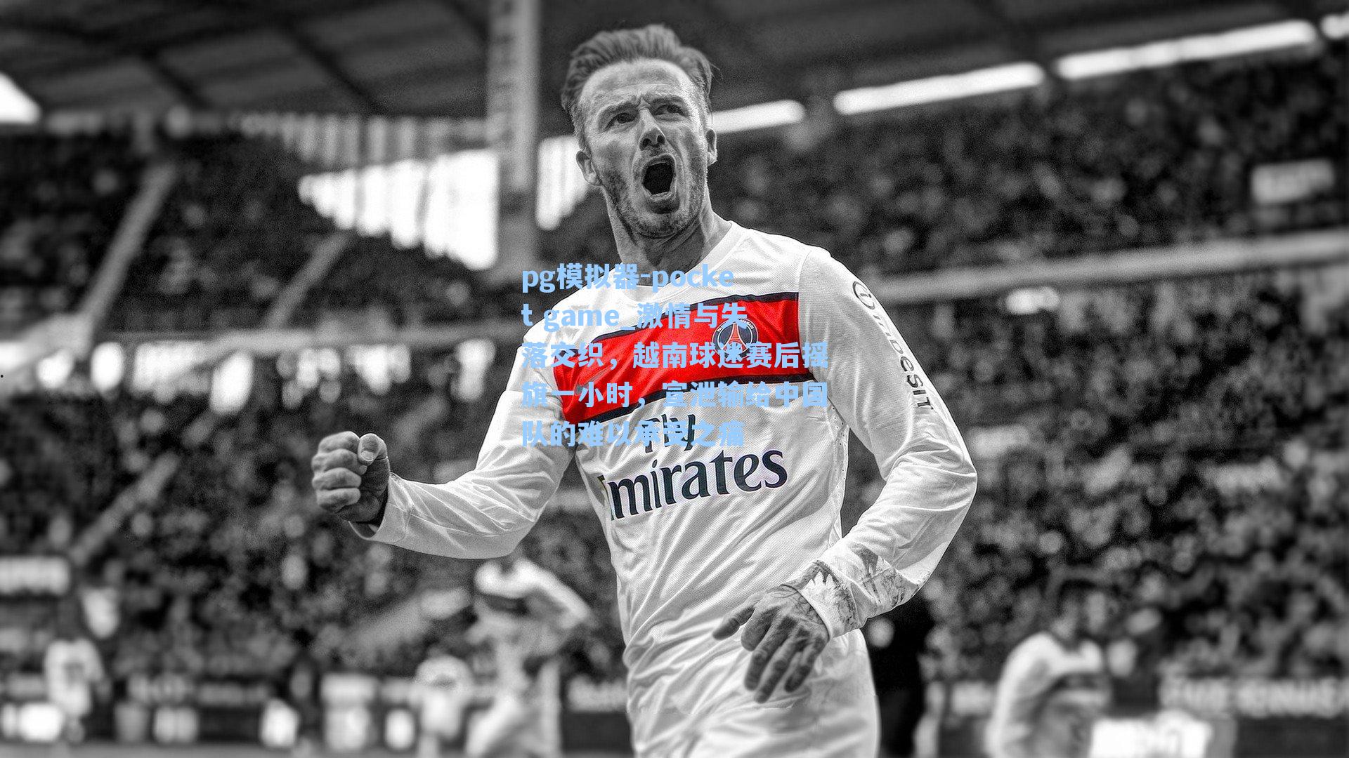 激情与失落交织，越南球迷赛后摇旗一小时，宣泄输给中国队的难以承受之痛